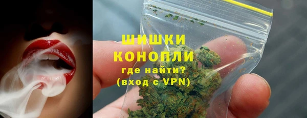 сатива Семикаракорск