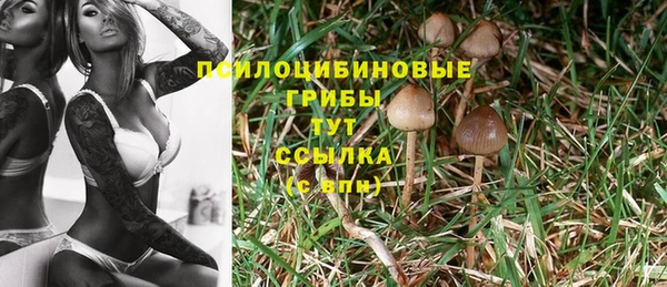 первитин Волоколамск