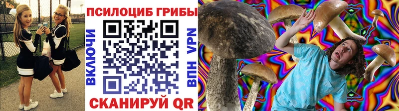 Псилоцибиновые грибы мухоморы  даркнет сайт  Туринск 